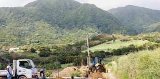 WSD in the Field: June 29, 2026