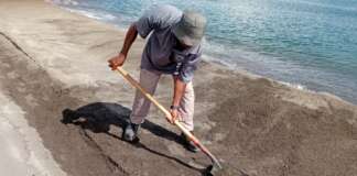 PWD’s Activities for October 24, 2025
